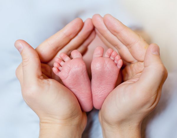 پاهای کودک پاهای تازه متولد شده در دست والدین