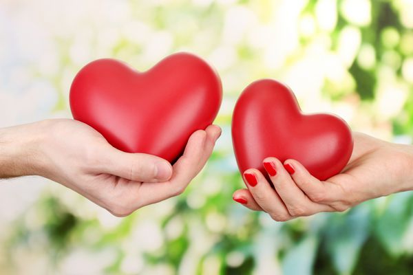 قلب های قرمز در دست های زن و مرد در پس زمینه سبز