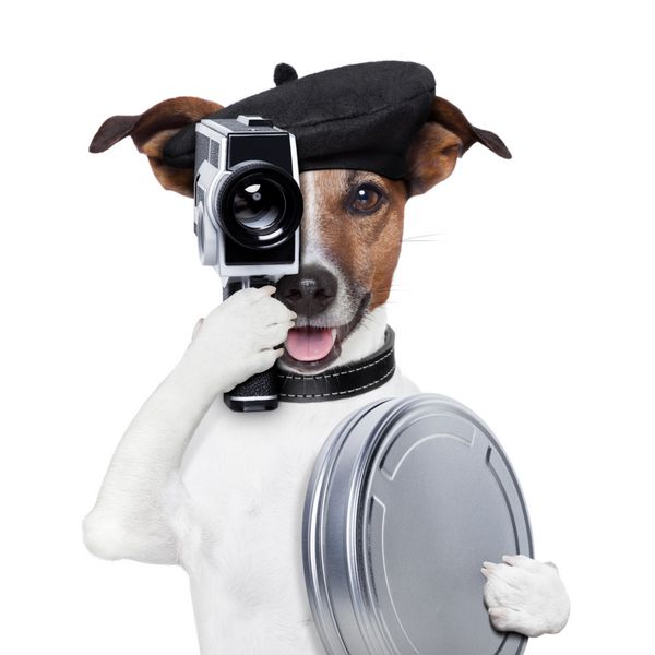 سگ کارگردان فیلم با دوربین قدیمی