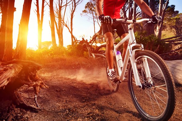 دوچرخه سوار کوهستان دوچرخه سواری در مسیر تک در طلوع آفتاب ورزشکار فعالی با سبک زندگی سالم در حال انجام ورزش