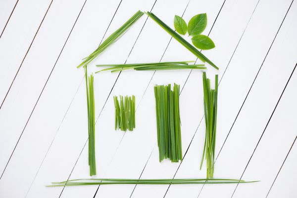 خانه زیست محیطی متشکل از چمن سبز و برگ های سبز