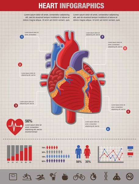 اینفوگرافیک سلامت قلب انسان بیماری و حمله