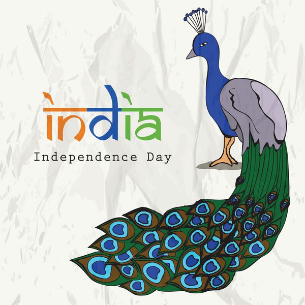 پس زمینه روز استقلال هند طاووس پرنده ملی و متن هند با سه رنگ پرچم ملی