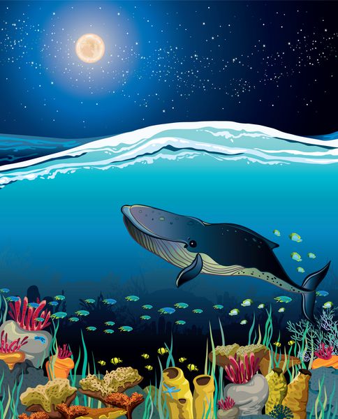 منظره دریایی طبیعت با صخره مرجانی با نهنگ شناور و آسمان پرستاره شب بر فراز سطح
