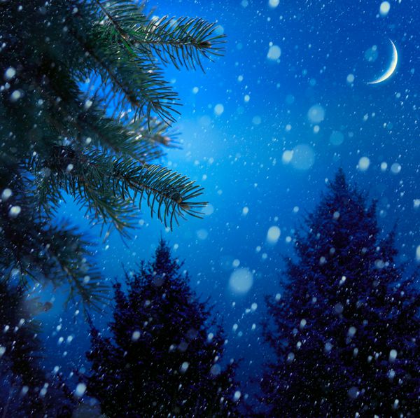 درخت کریسمس هنری در پس زمینه برفی آبی شب زمستانی