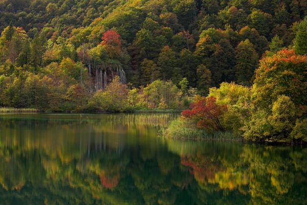 دریاچه های پلیتویس کرواسی - پارک ملی در پاییز