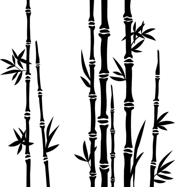 شاخه های بامبو جدا شده در پس زمینه سفید بردار