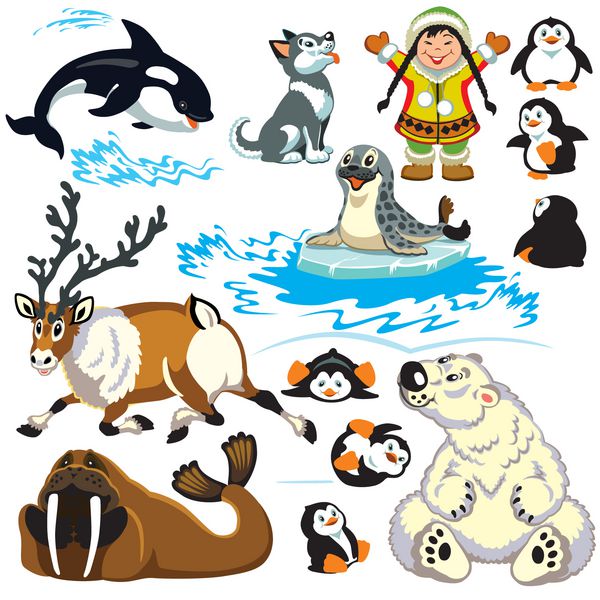 مجموعه ای با حیوانات کارتونی قطب شمال عکس های جدا شده برای بچه های کوچک