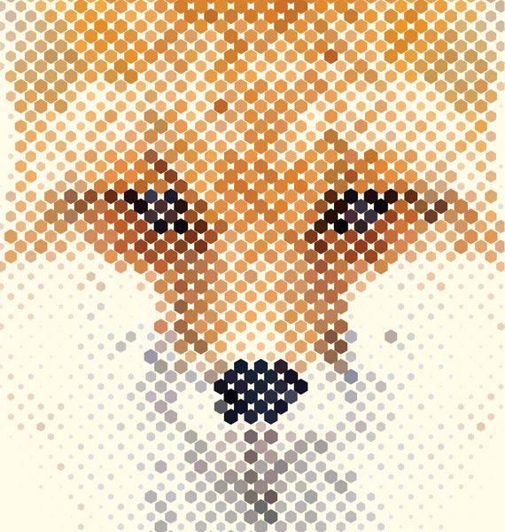 پرتره روباه ساخته شده از اشکال هندسی