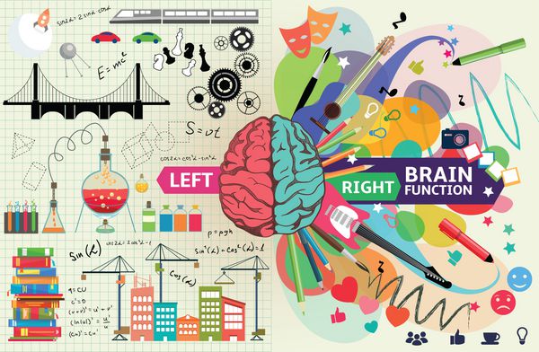 عملکردهای چپ و راست مغز سمت چپ یک ذهن تحلیلی ساختارمند و منطقی است و سمت راست یک ذهن خلاق است