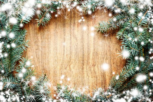 درخت کریسمس روی یک تخته چوبی