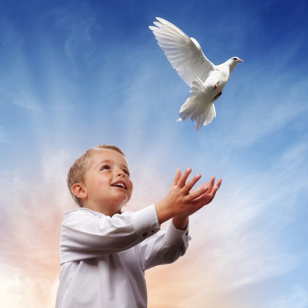 پسری که یک کبوتر سفید را برای آزادی صلح و معنویت به هوا رها می کند