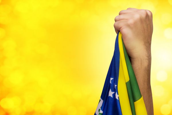 هوادار وطن پرست برزیلی