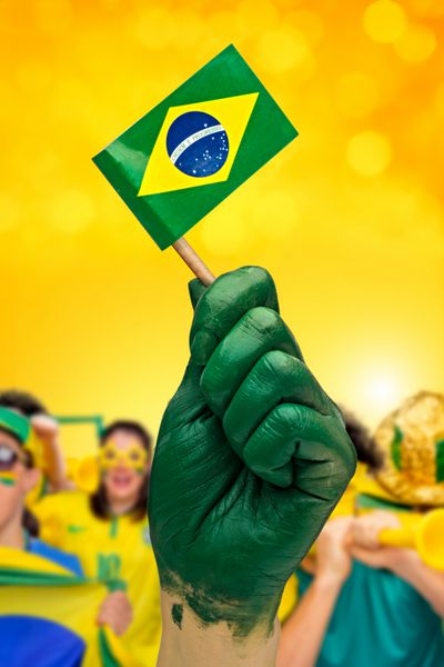 هوادار وطن پرست برزیلی