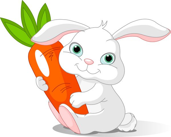 خرگوش دوست داشتنی کوچک هویج غول پیکر را نگه می دارد