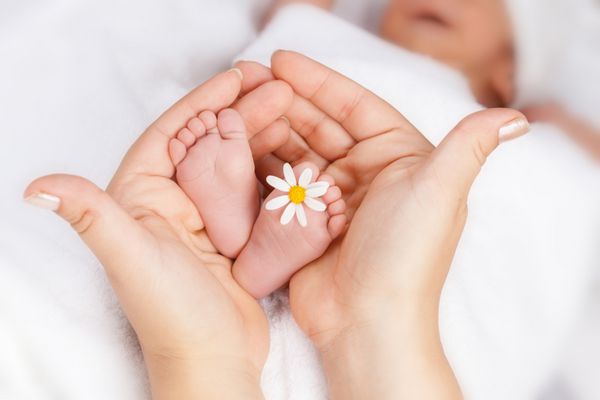 پای نوزاد دوست داشتنی با دیزی کوچک سفید در دستان مادر