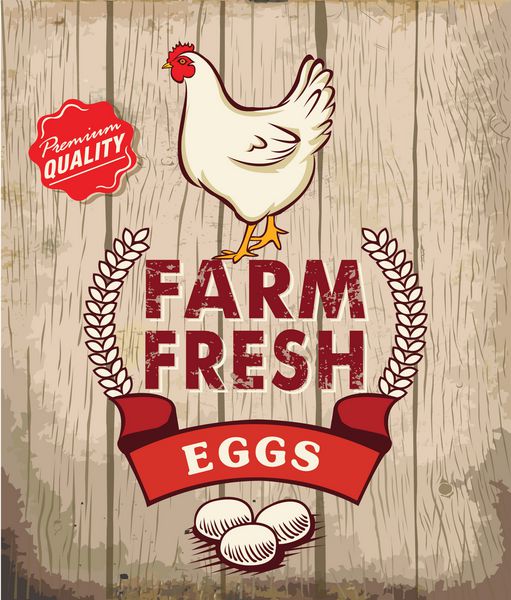 طرح پوستر رترو تخم مرغ تازه با پس زمینه چوبی