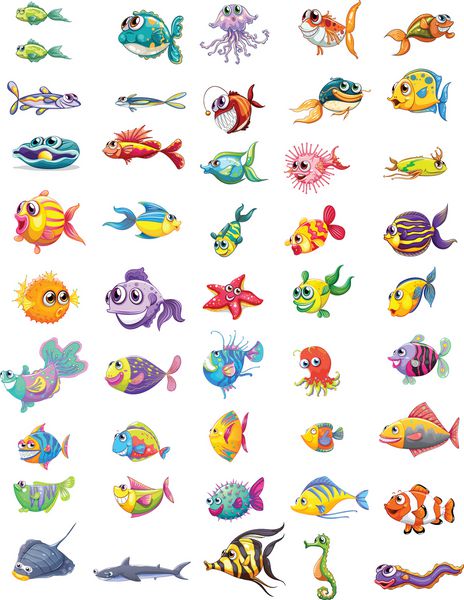 تصویر گروهی از ماهی های مختلف در پس زمینه سفید