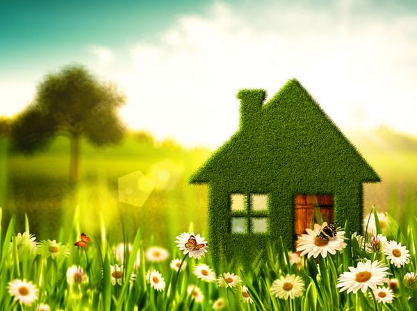 خانه سبز پس زمینه های انتزاعی محیطی