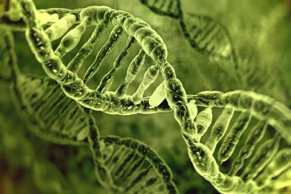 مولکول های DNA