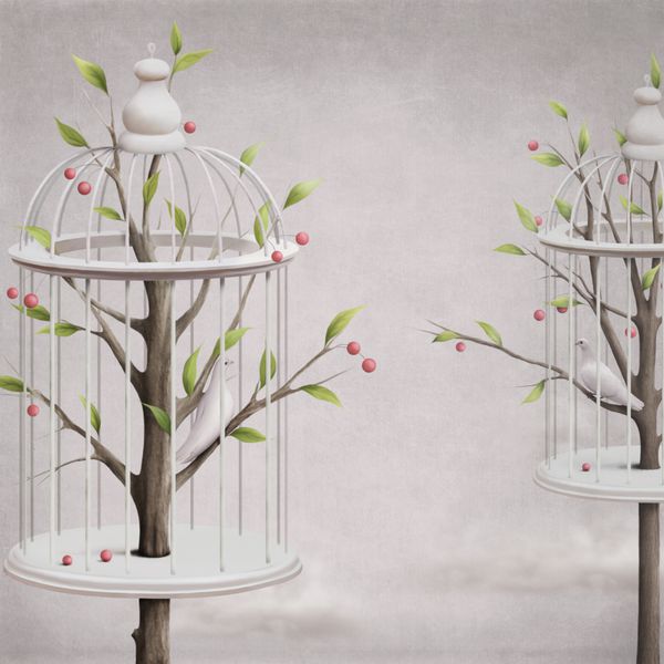 باغ سفید با پرندگان در قفس