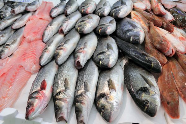 ماهی باس و ماهی تازه در بازار
