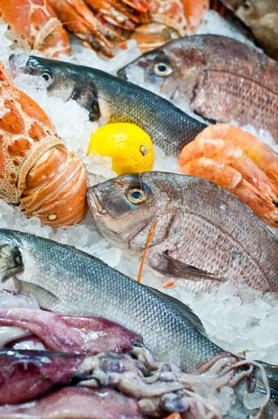 چیدمان ماهی تازه و غذاهای دریایی در بازار نمایش داده شده است نمای نزدیک