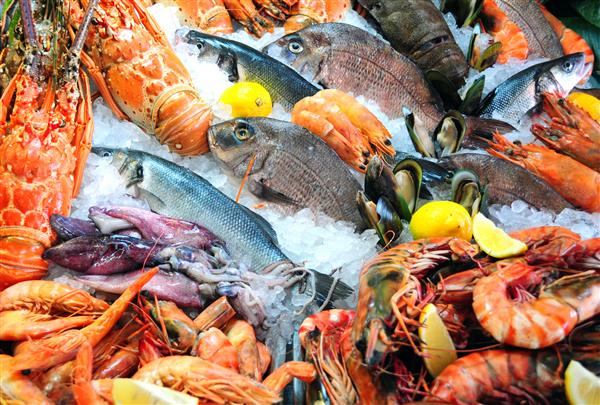 غذای دریایی تازه در بازار ماهی عکس گرفته شده است