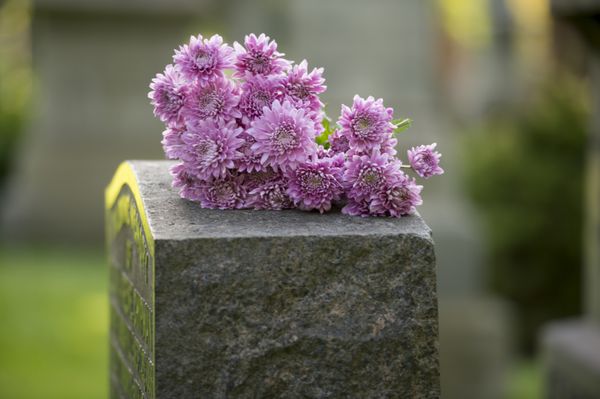 گلها بر روی سنگ قبر در گورستان قرار دارند
