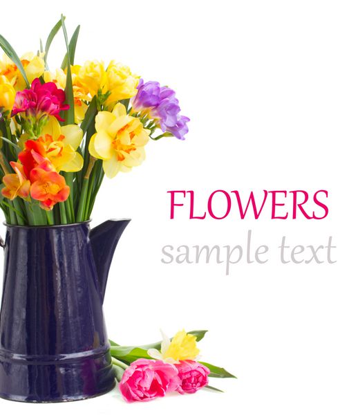 گل‌های فریزیا و نرگس رنگارنگ در گلدان آبی نزدیک جدا شده روی پس‌زمینه سفید