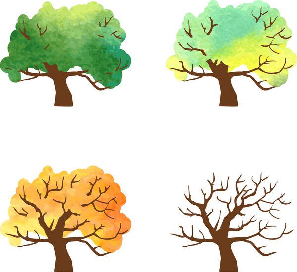 تغییرات درخت پاییزی نقاشی شده با آبرنگ چهار فصل درخت وکتور