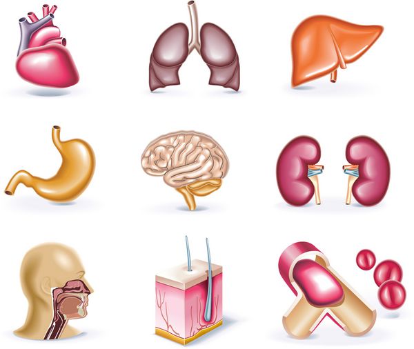 مجموعه آیکون سبک کارتونی وکتور قسمت 30 پزشکی