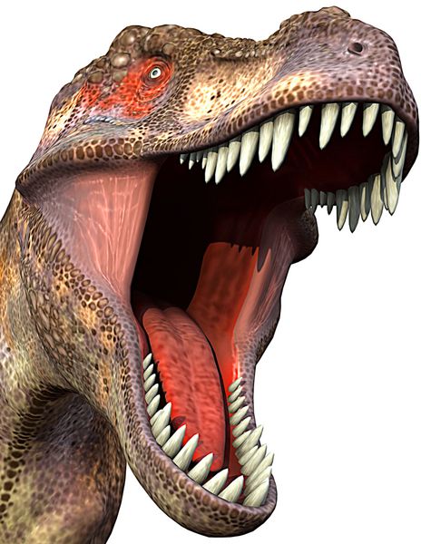نمای نزدیک tyrannosaurus 2