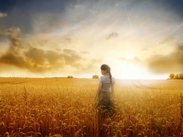 زن جوان ایستاده در مزرعه گندم با طلوع خورشید در پس زمینه