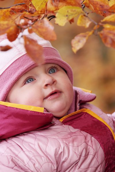 نوزاد کوچک در جنگل با برگ های زرد