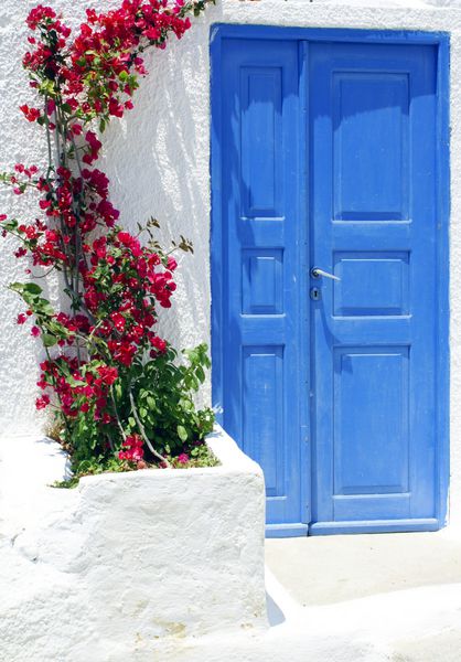 در قدیمی و گل در جزیره سانتورینی یونان