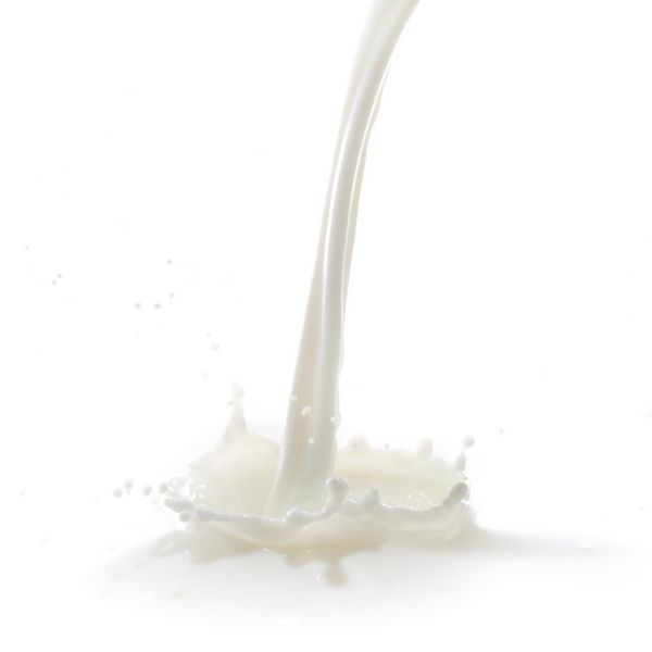 ریختن پاشش شیر جدا شده در پس زمینه سفید