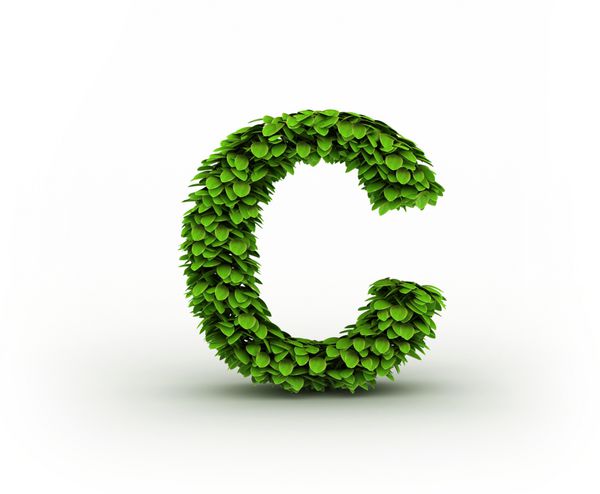 حرف C الفبای برگ های سبز جدا شده در پس زمینه سفید