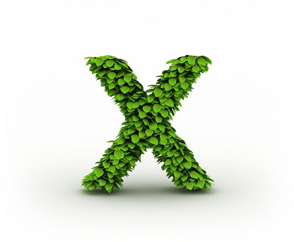 حرف X الفبای برگ های سبز جدا شده در پس زمینه سفید