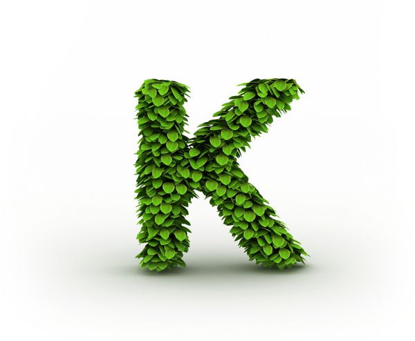 حرف K الفبای برگ های سبز جدا شده در پس زمینه سفید