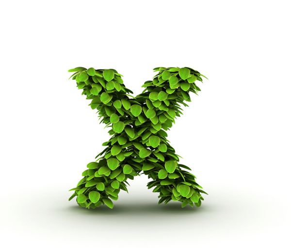 حرف x الفبای برگ های سبز کلاهک های کوچک