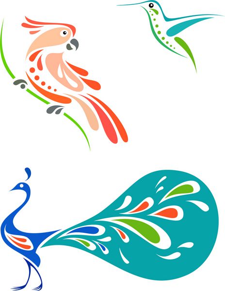 پرندگان سبک - کاکادو مرغ مگس خوار و طاووس
