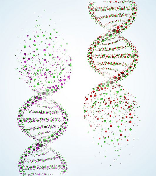 تصویری از یک مولکول DNA که تخریب آن را نشان می دهد