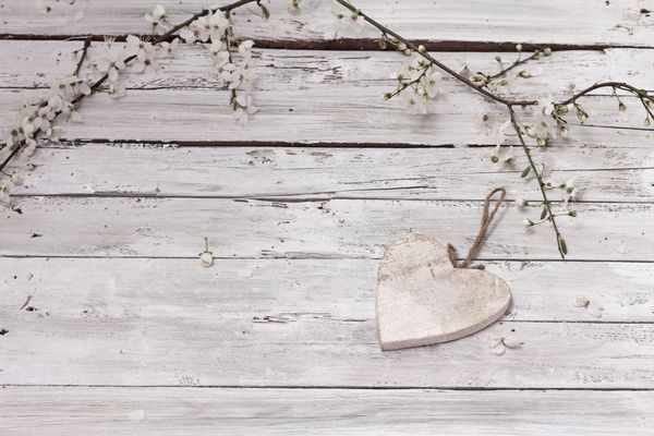 شکوفه بهاری و قلب روی پس زمینه چوبی