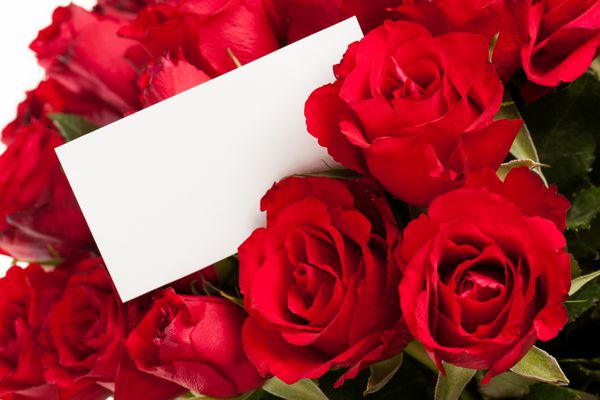 گل رز قرمز با برچسب هدیه خالی