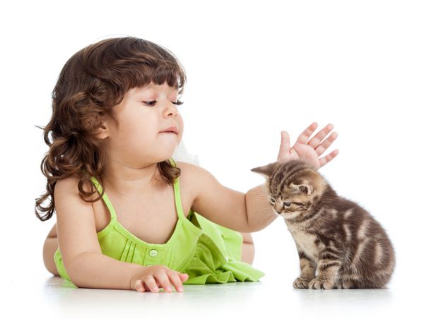 کودک شاد خنده دار در حال بازی با گربه گربه