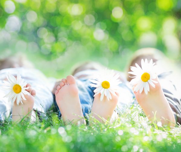 پاهای سالم خانواده با گل های دیزی روی چمن سبز در برابر پس زمینه تار بهاری مفهوم تعطیلات زمین کشاورزی