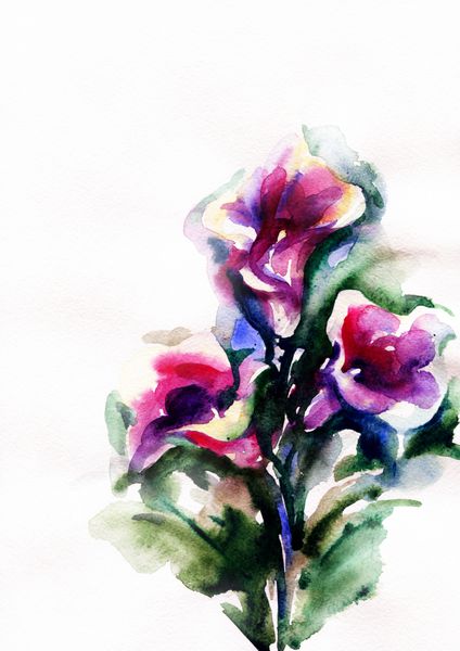 تصویر رنگی گل ها در نقاشی های آبرنگ