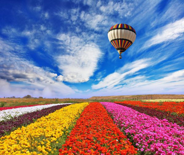 مزارع زیبای روستایی چند رنگ با گل بر فراز میدان بالون بزرگ هوا پرواز می کند