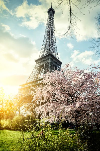 فصل بهار در پاریس برج ایفل تصویر رنگ آمیزی شده